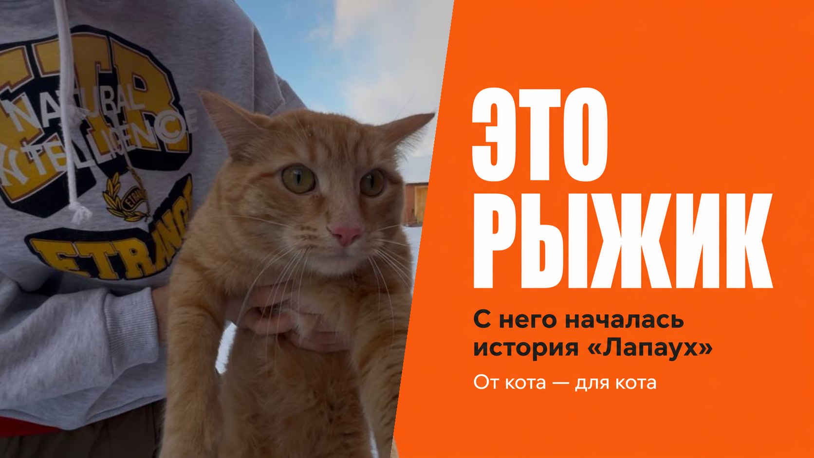 Лапаух