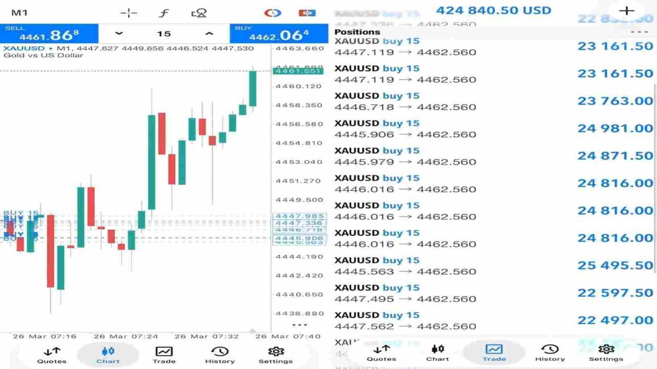Forex Market Review