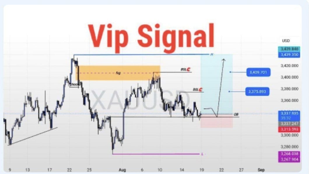 VIP PRO TRADING🤮🤮