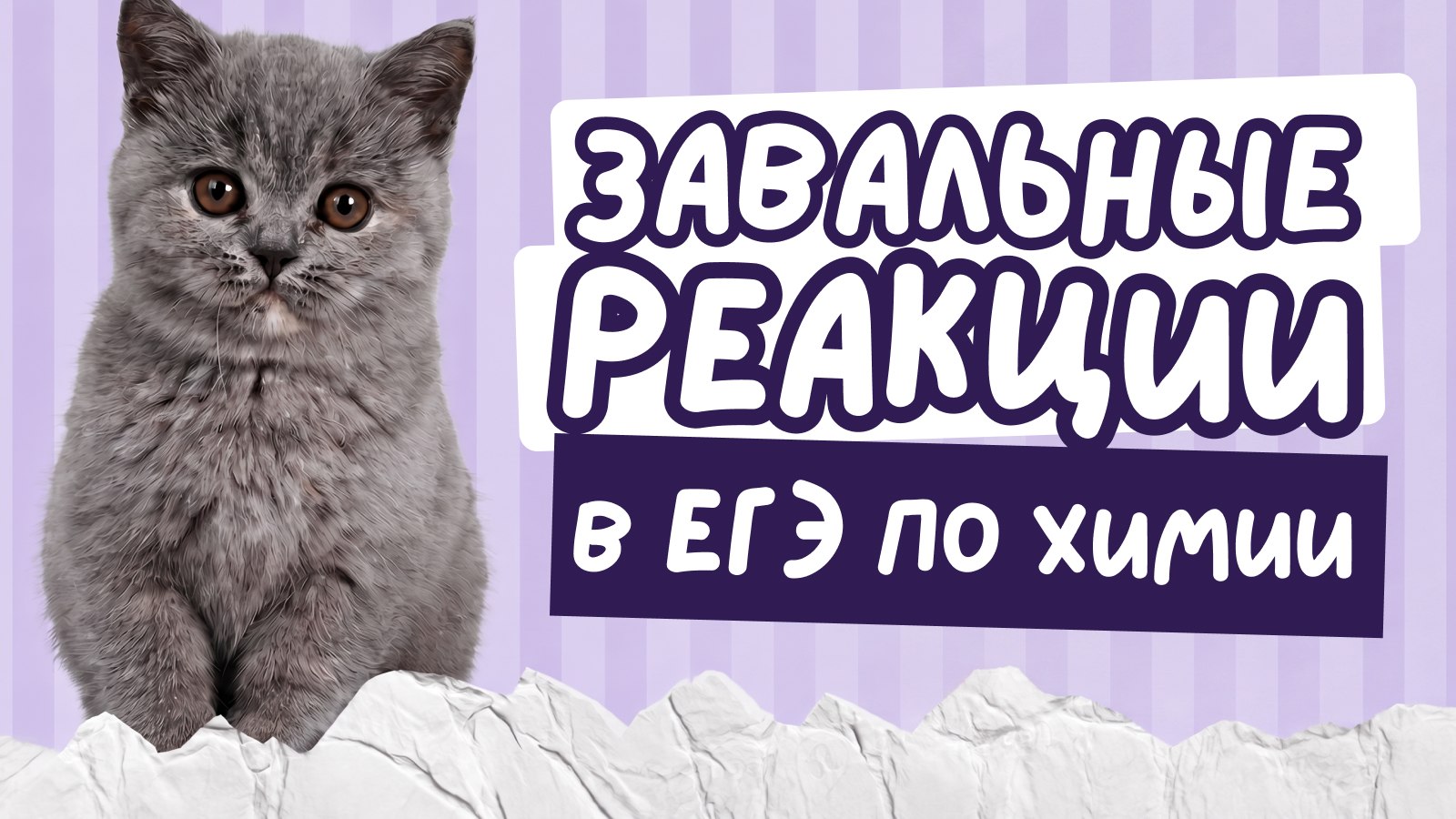 химия и котики / ЕГЭ ОГЭ Стадикэтс