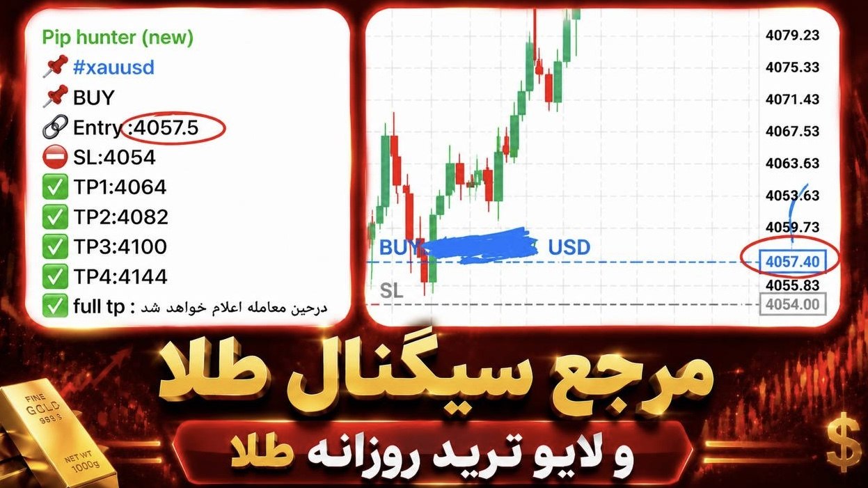 Fazeli.finance