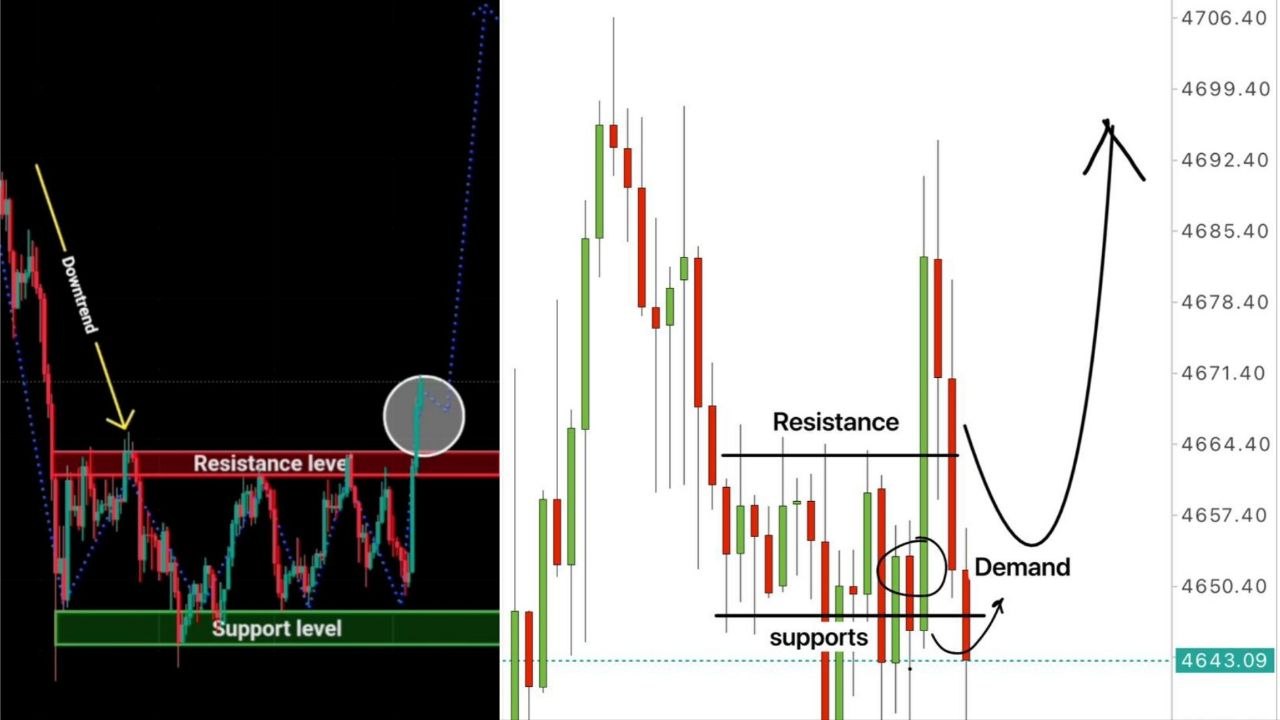 168FX Dubai Signals 🇦🇪