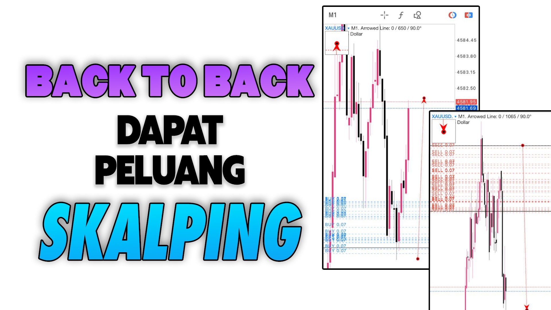 MIMIE SCALPING DERHAKA