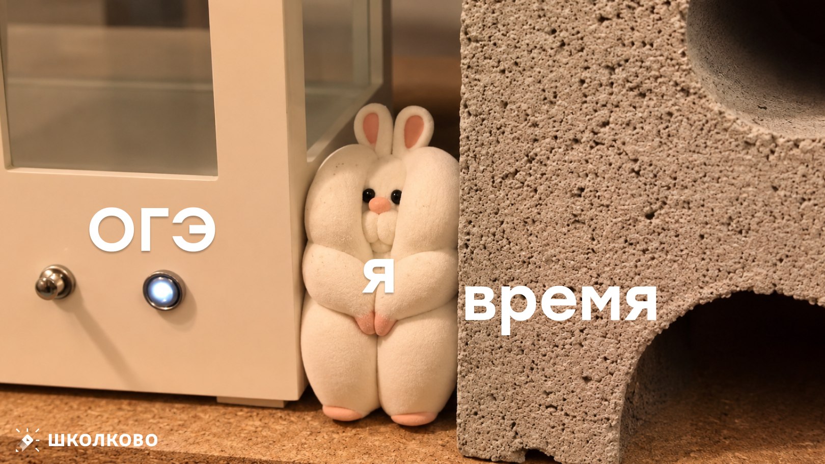 Ксюша Сумина | ОГЭ Русский язык | Школково