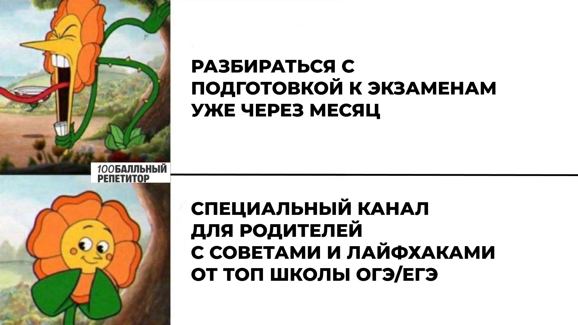 Родитель на 100 баллов | 100балльный репетитор
