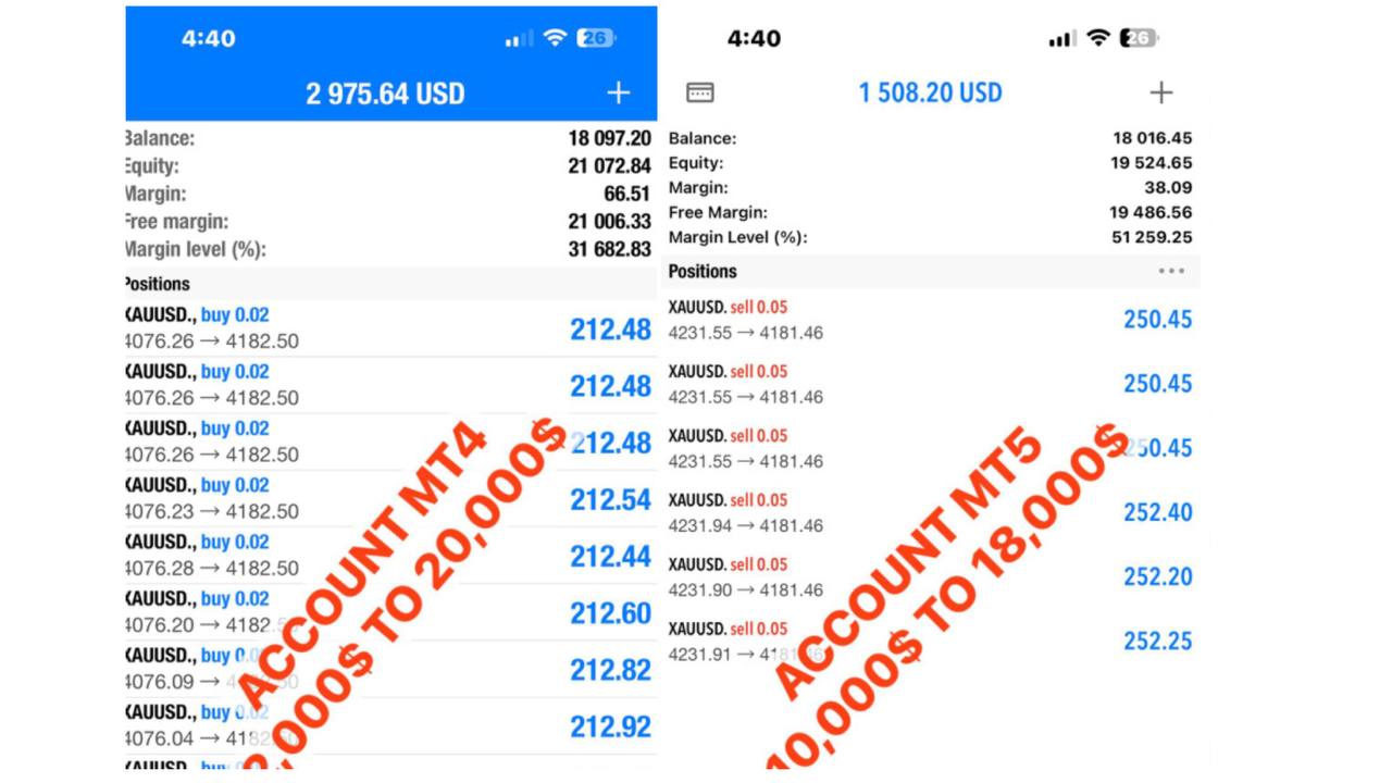 Arep Trader Flip