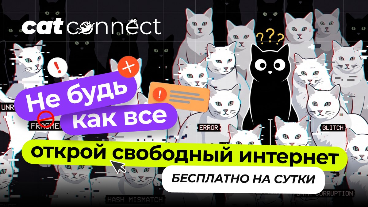 Cat•Connect ♢ VPN