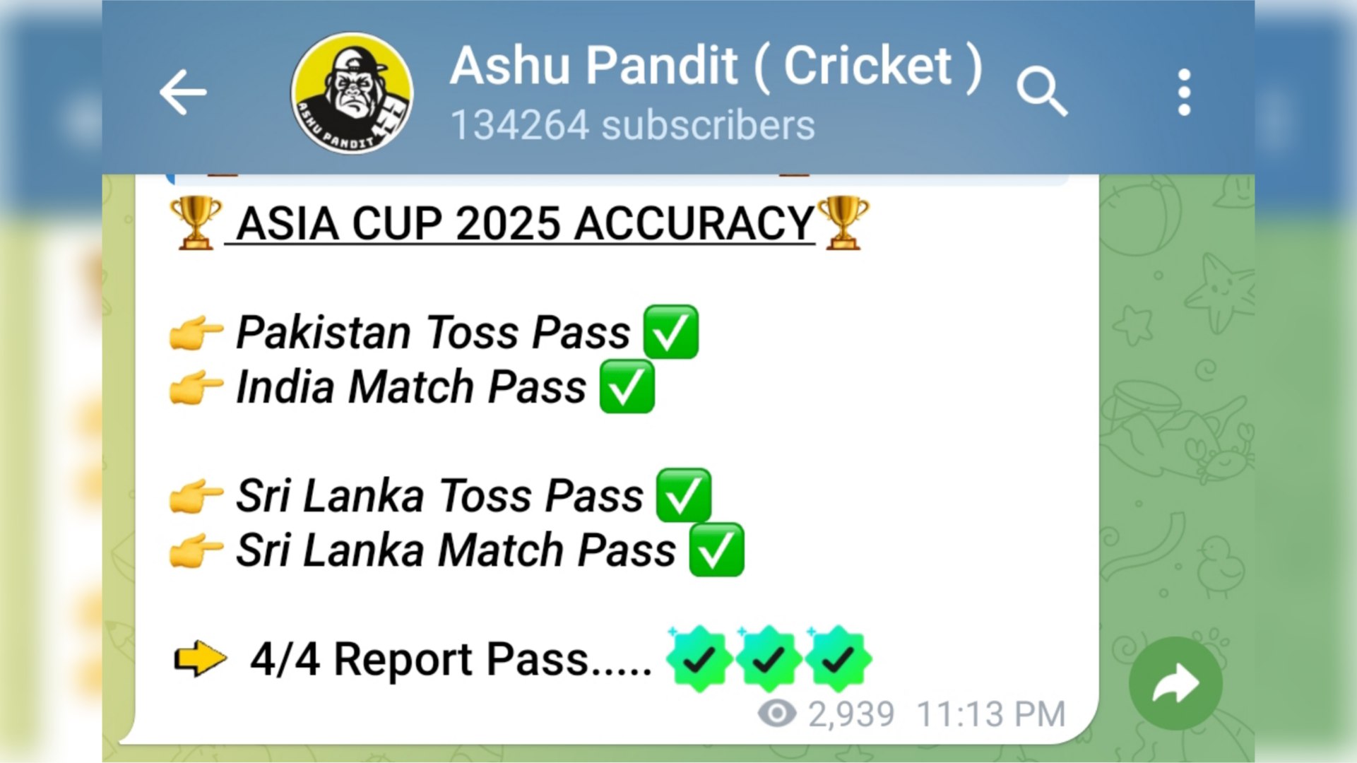 Ashu Pandit ( Cricket )