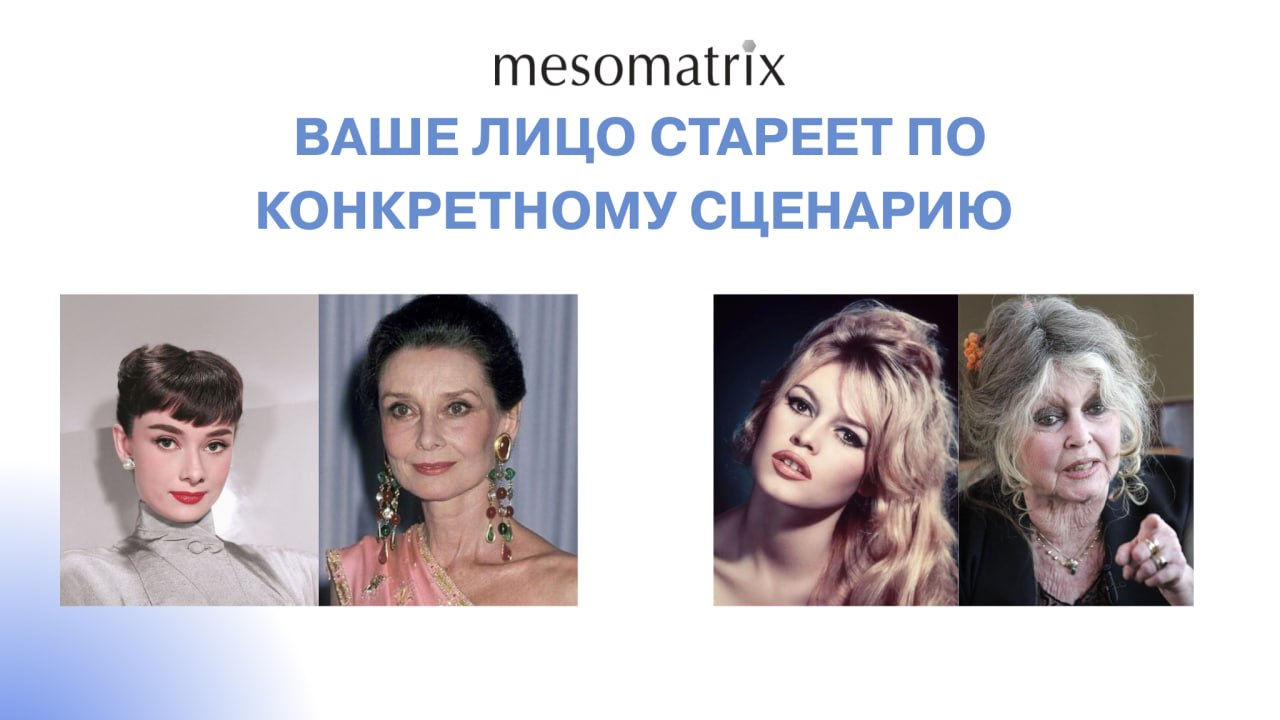 MESOMATRIX: красота как система | Мезоматрикс