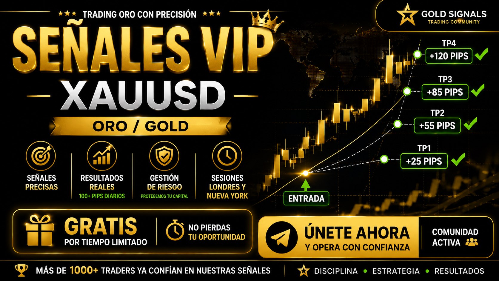 Forex Signal Hub