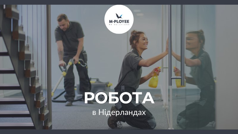 Робота в Нідерландах від M-Ployee 🇳🇱