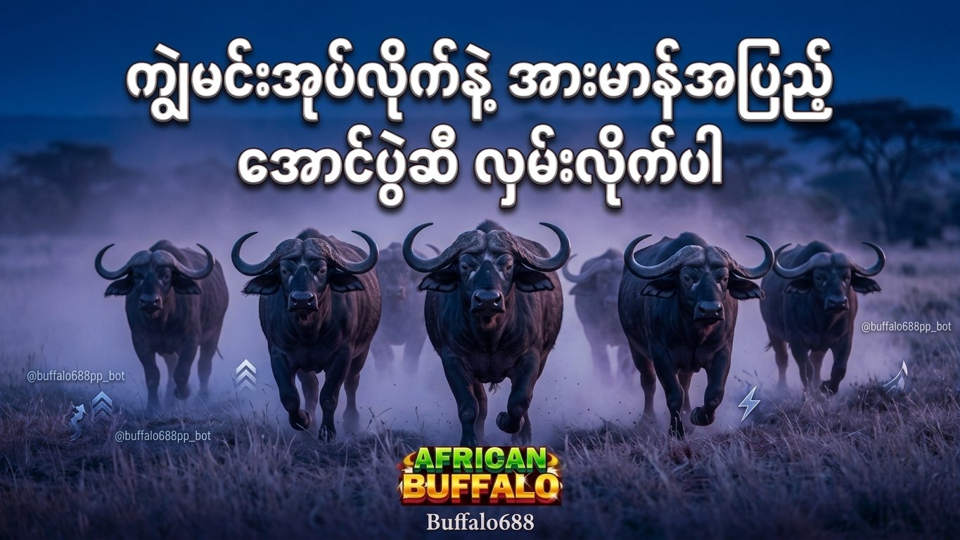 ကျွဲဂိမ်းအစစ် 24 နာရီဝန်ဆောင်မှု 🐂