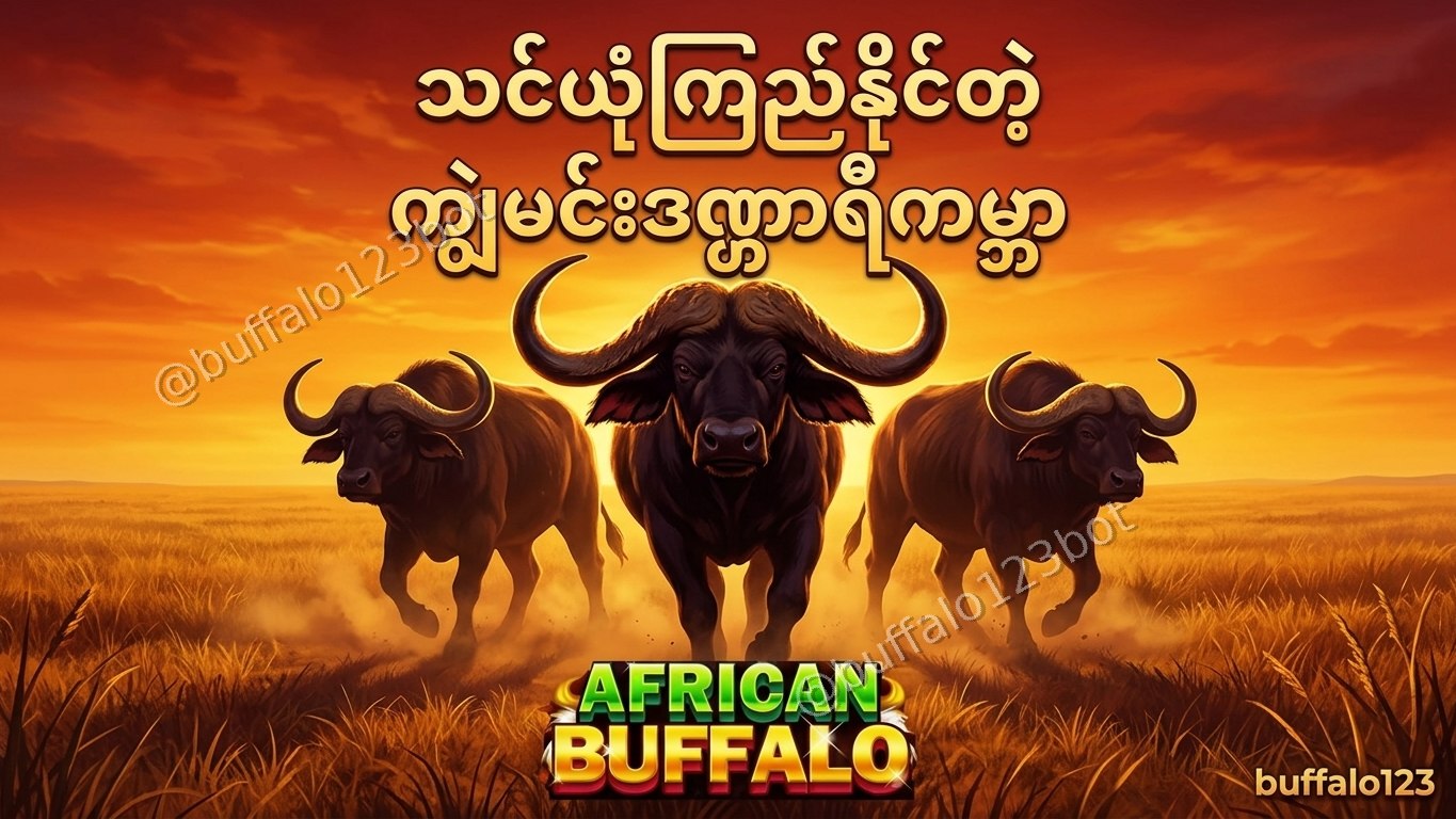 ကျွဲဂိမ်း Buffalo123 Official