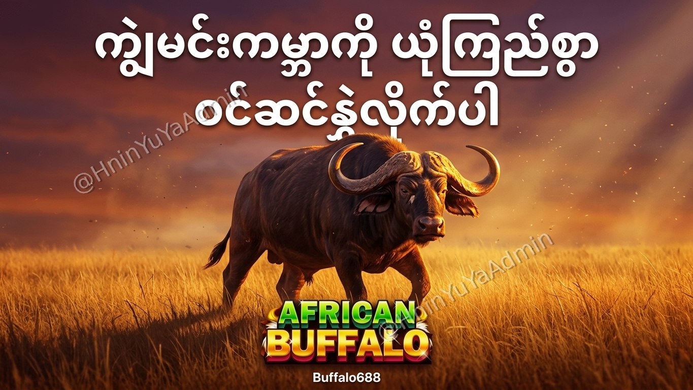 ကျွဲဂိမ်းအစစ် Buffalo688 ၊ကျွဲဘုရင် ၊ရှမ်းကိုးမီး၊ဘူကြီး