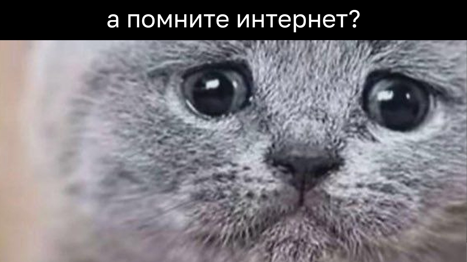 Шифровальня