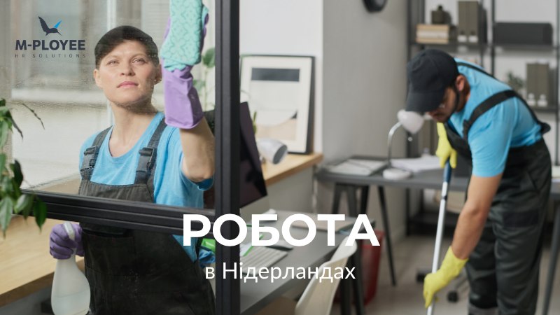 Робота в Нідерландах від M-Ployee 🇳🇱