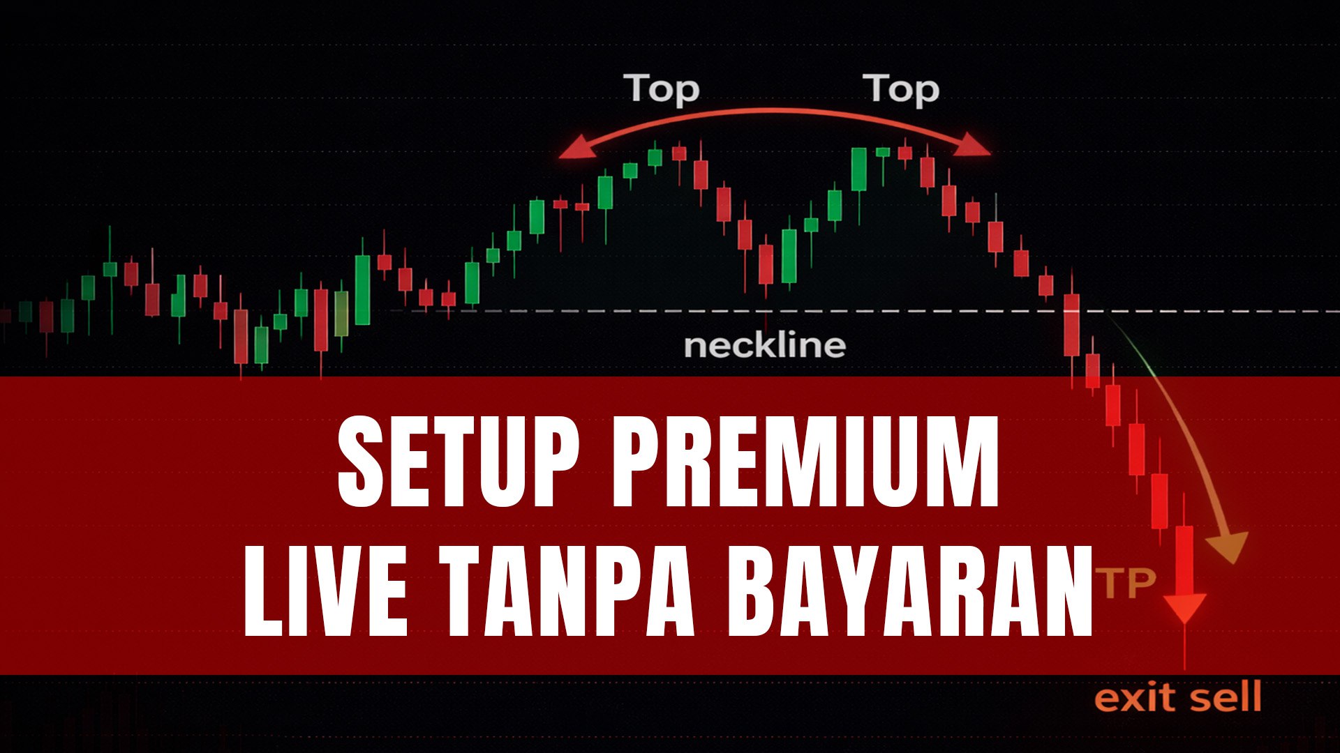 Syah Trader FullTime