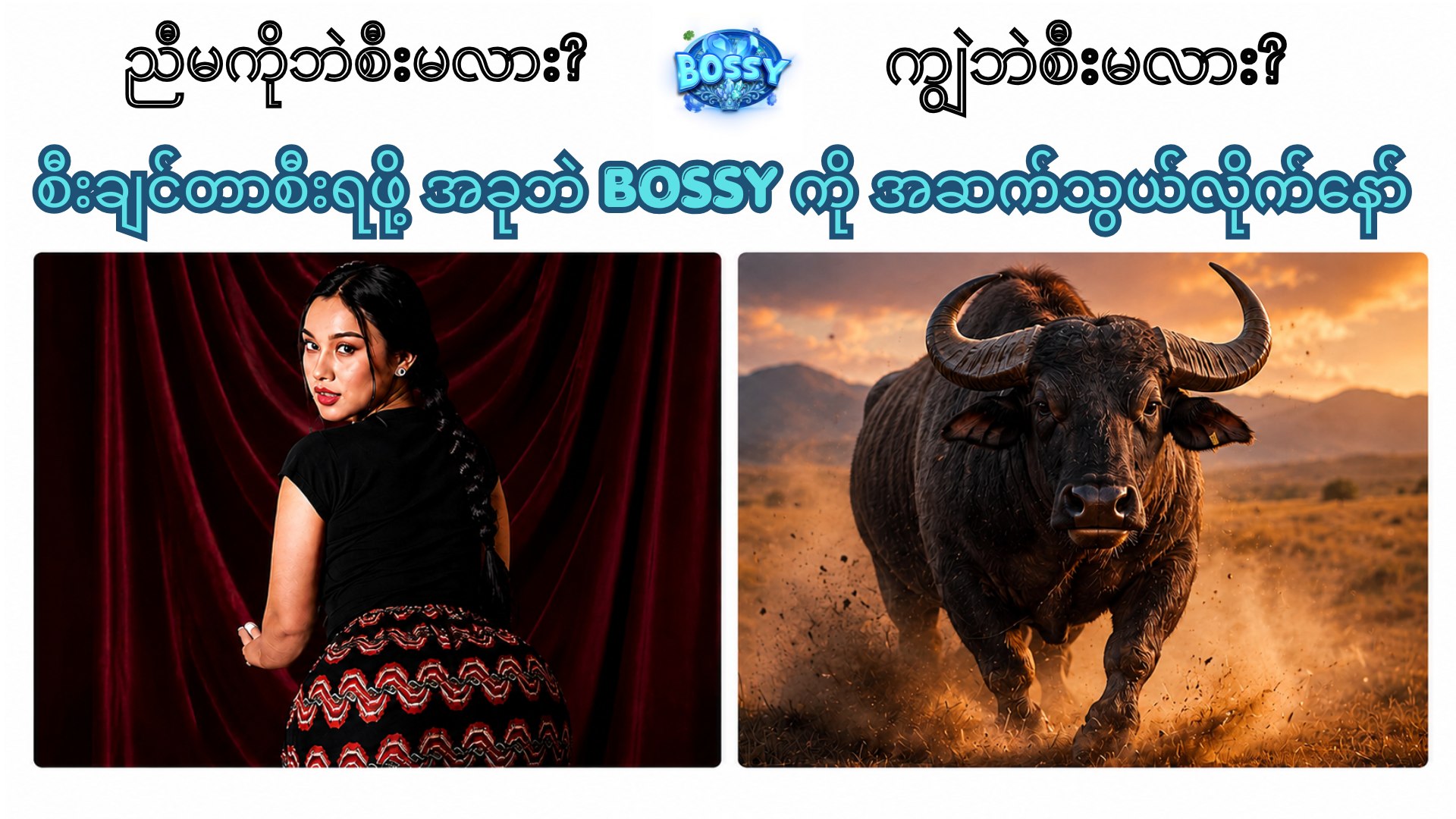 BOSSY (𝟐𝟒 hrs Service)