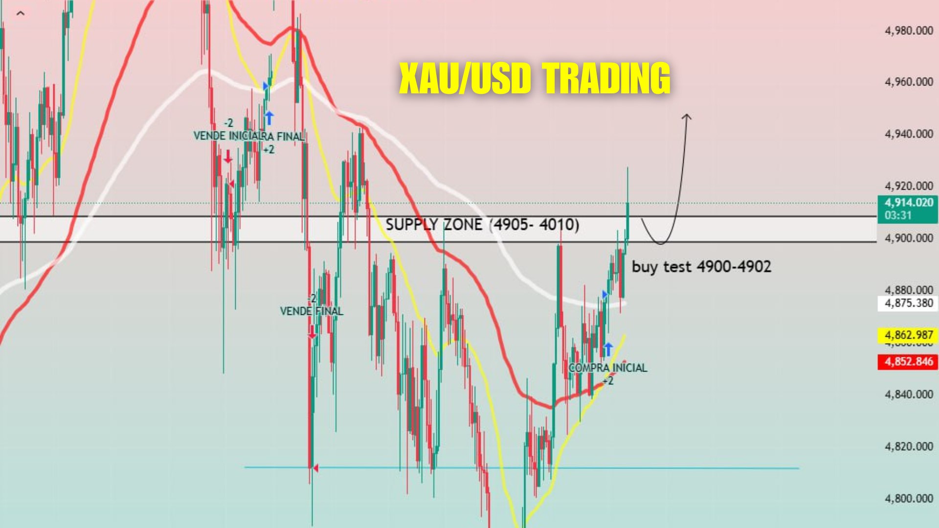 Scalper Gold Nexus 💰