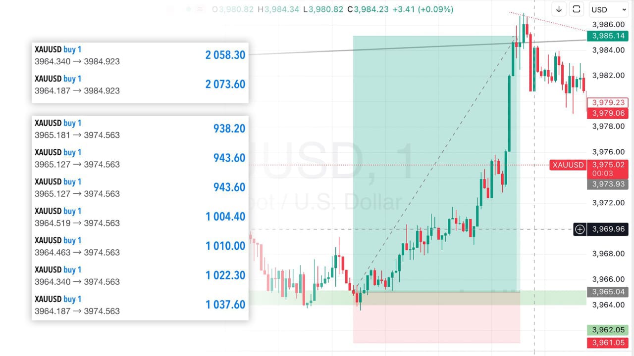 Trade Fx Academy