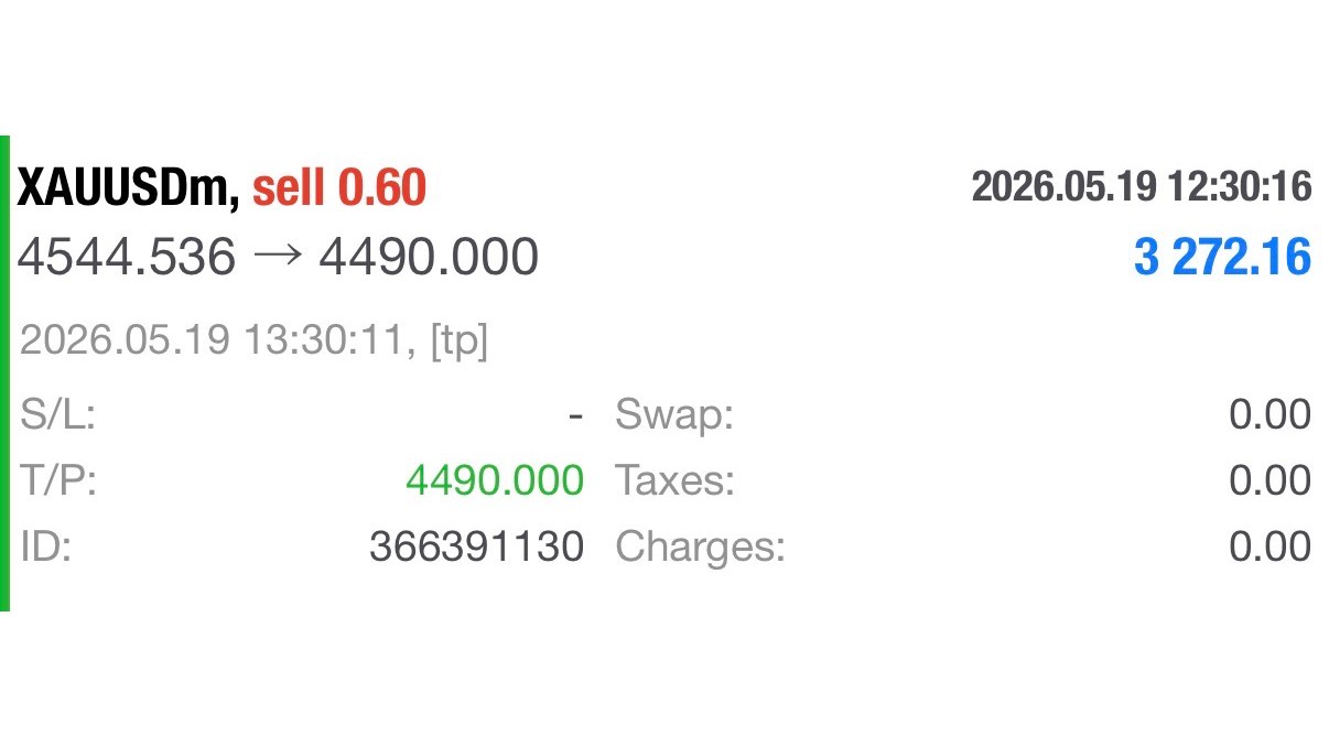 WIRE FOREX 📊