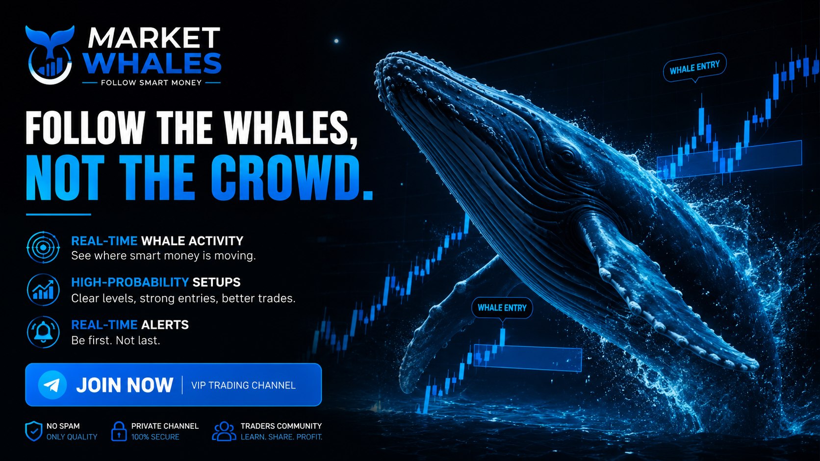 MARKET WHALES_حيتان السوق🐋