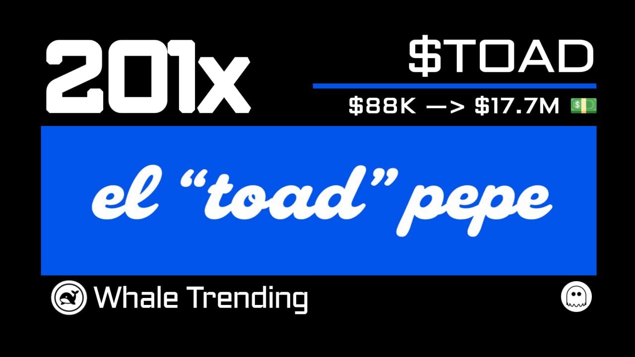 Whale Trending π³π΅