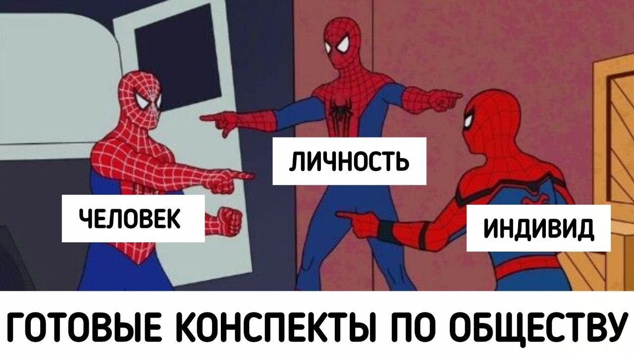 Агент Социализации | Оля Вебер | Обществознание ЕГЭ СМИТАП