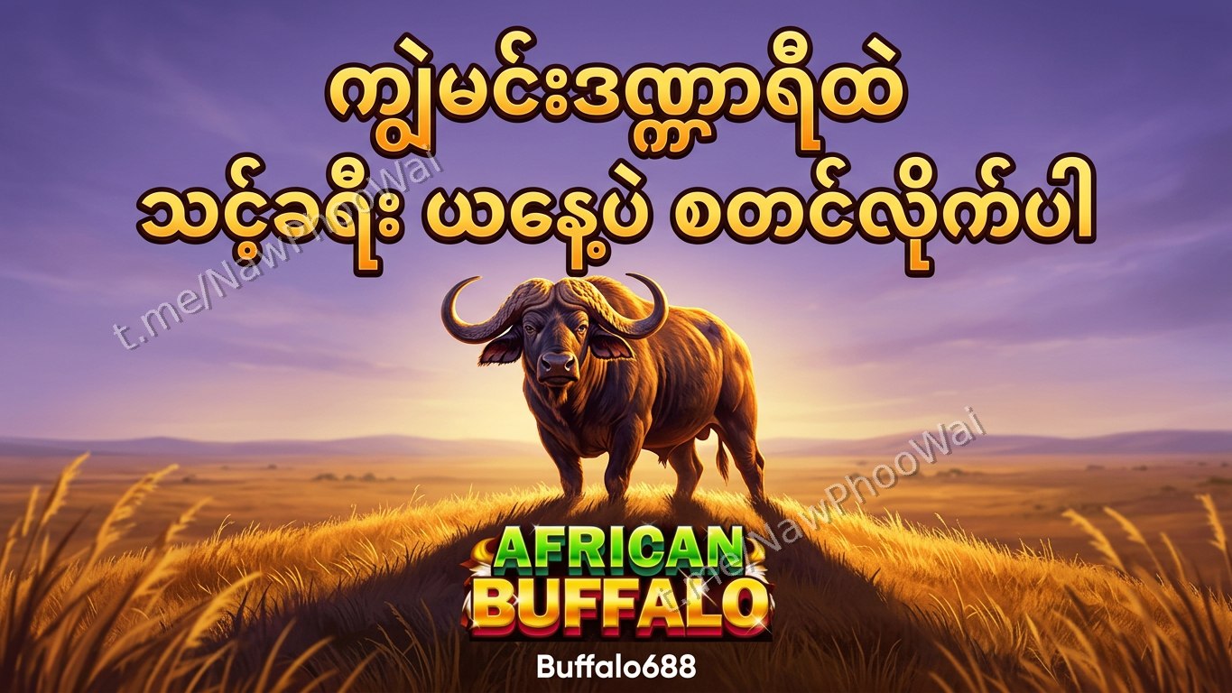 ⏰ ကျွဲဂိမ်း - နော်ဖူးဝေ 24 နာရီဝန်ဆောင်မှု