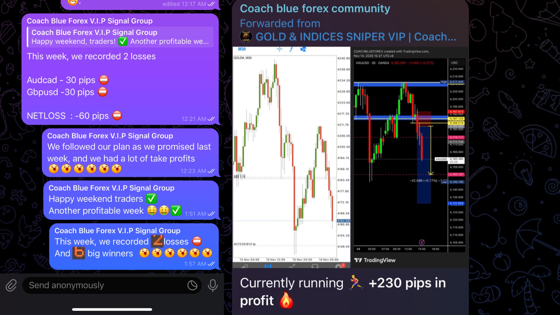 Coach blue forex community
