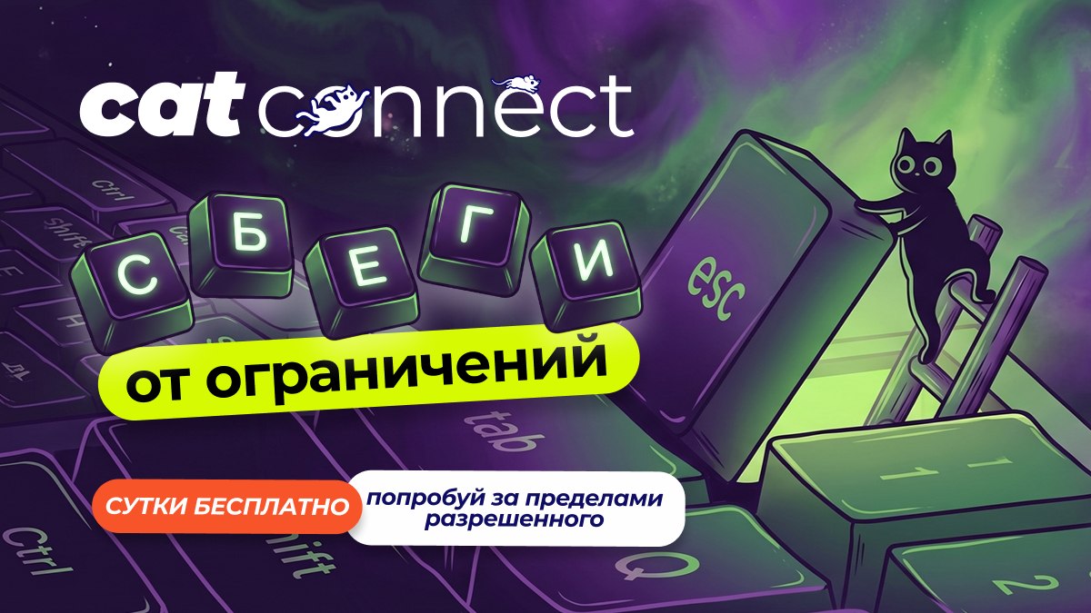 Cat•Connect ♢ VPN