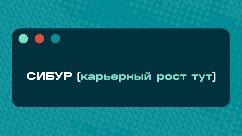 Карьера в СИБУРе
