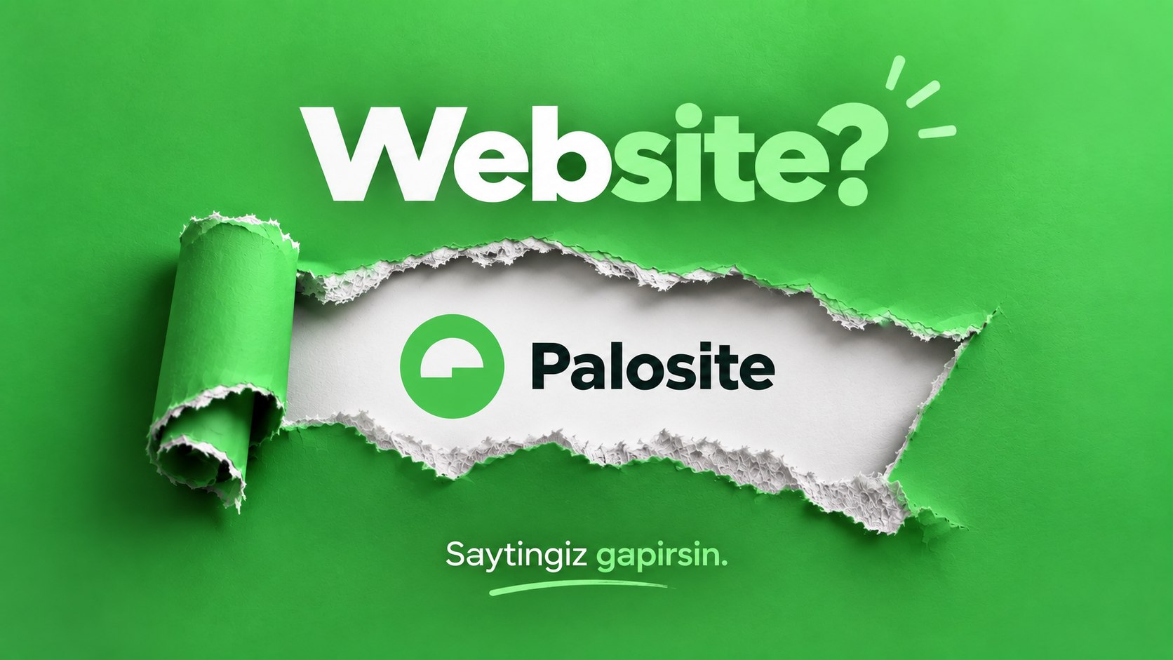 Palosite