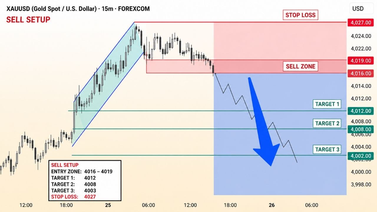 WABZZ FOREX TRADER