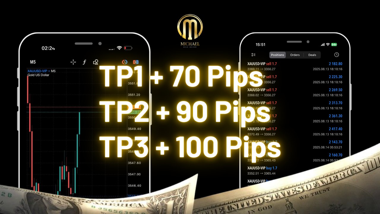 Michael Gold Insider 💰