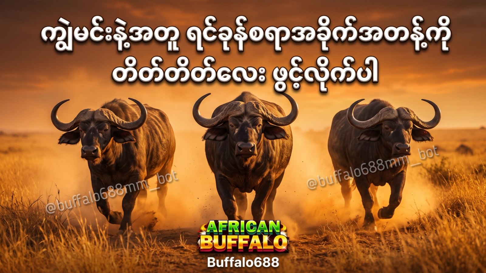 Buffalo688 Myanmar Official