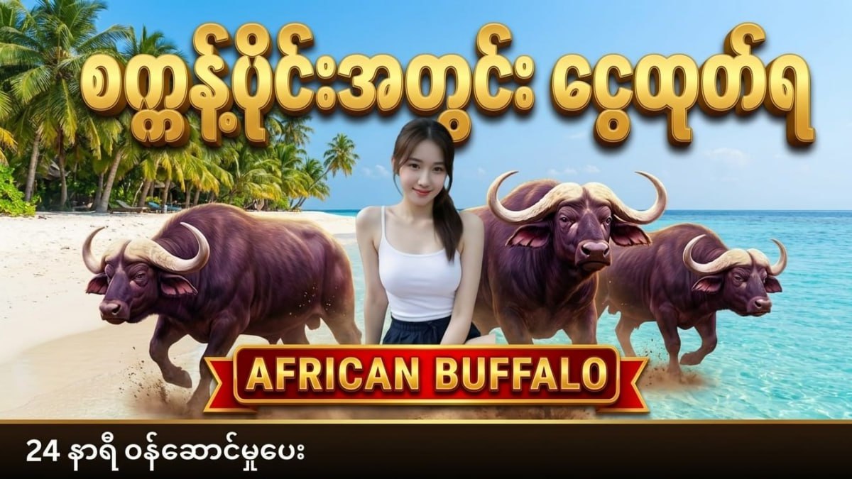 Buffalo ကျွဲဂိမ်းအစစ်
