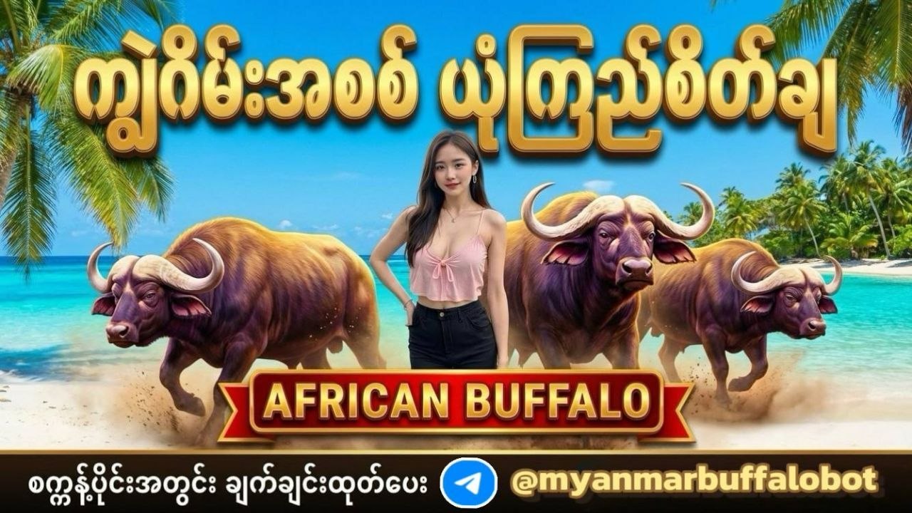 Bigwin688