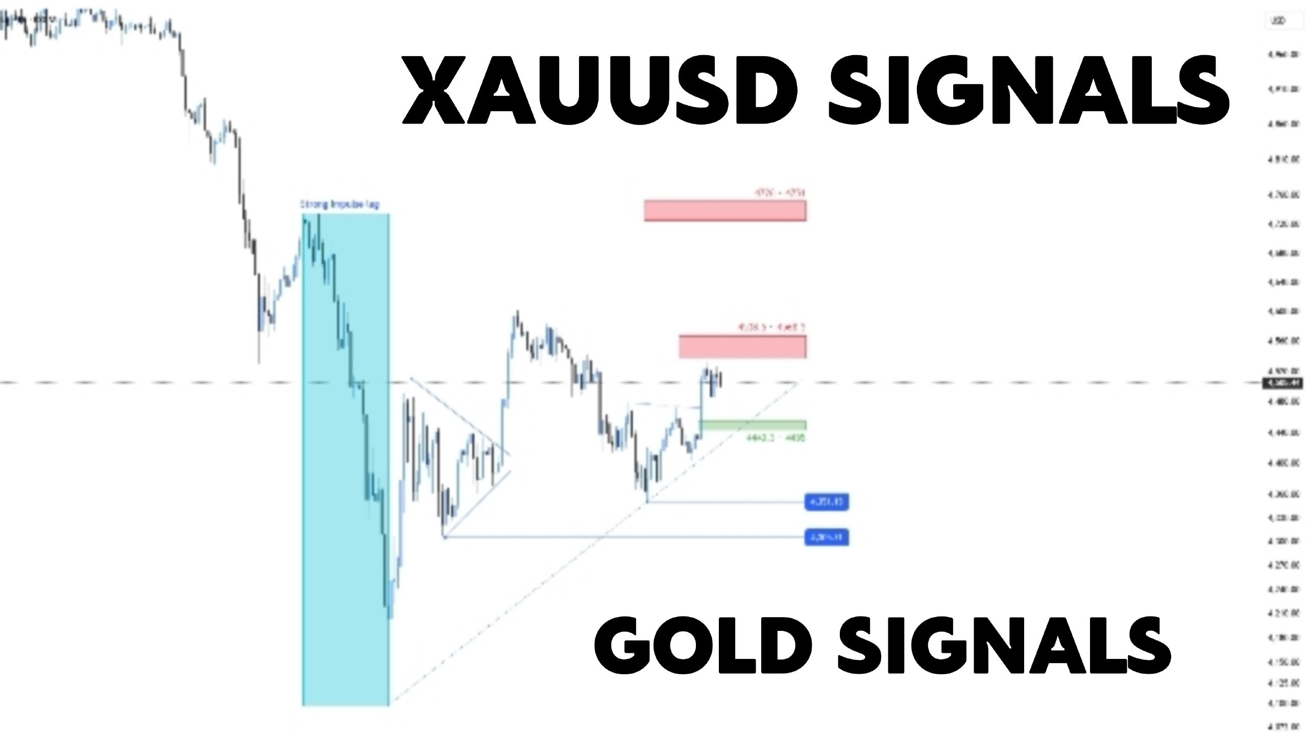 XAUUSD GOLD MASTER