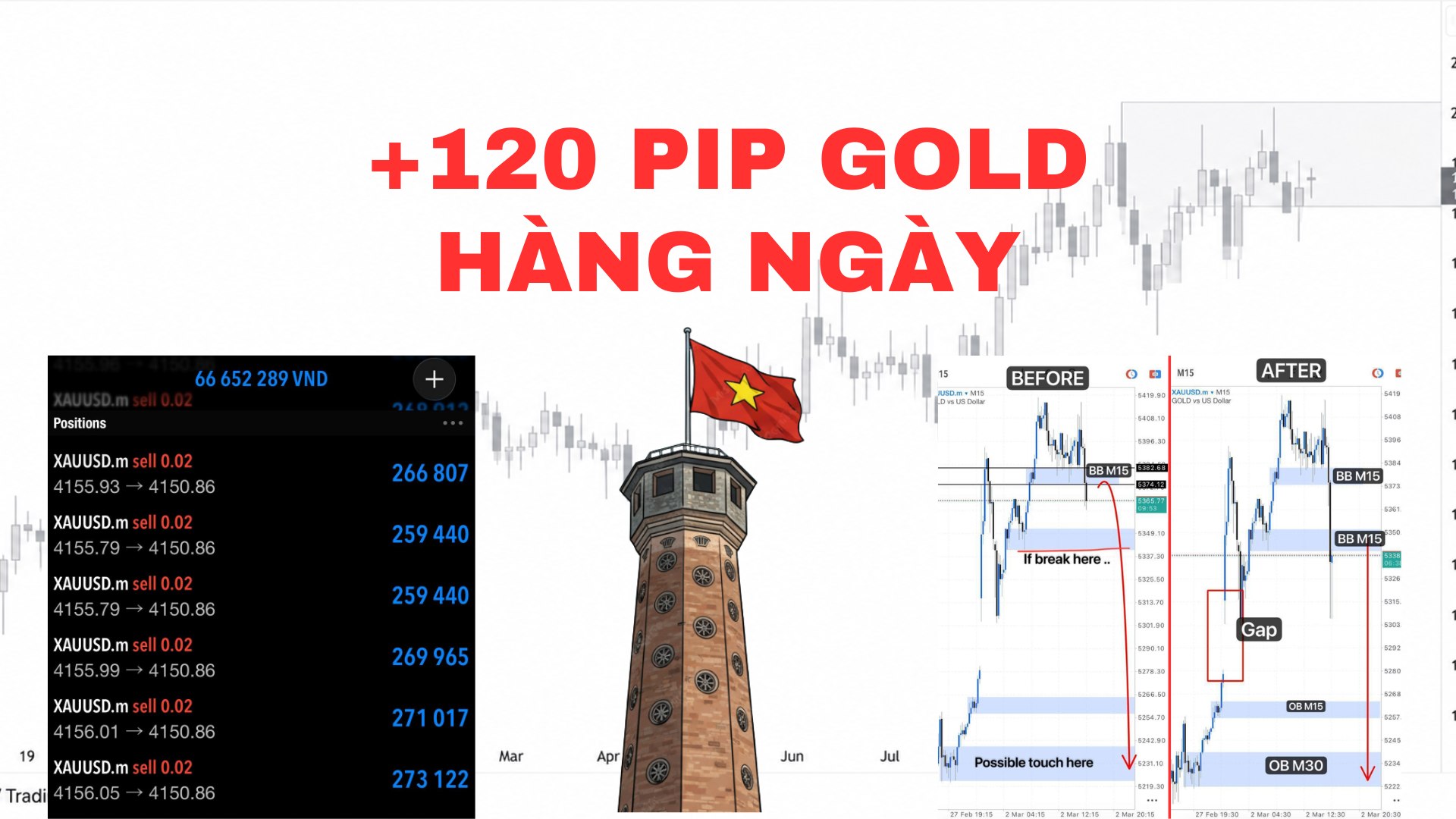 Minh Gold Trader 🇻🇳