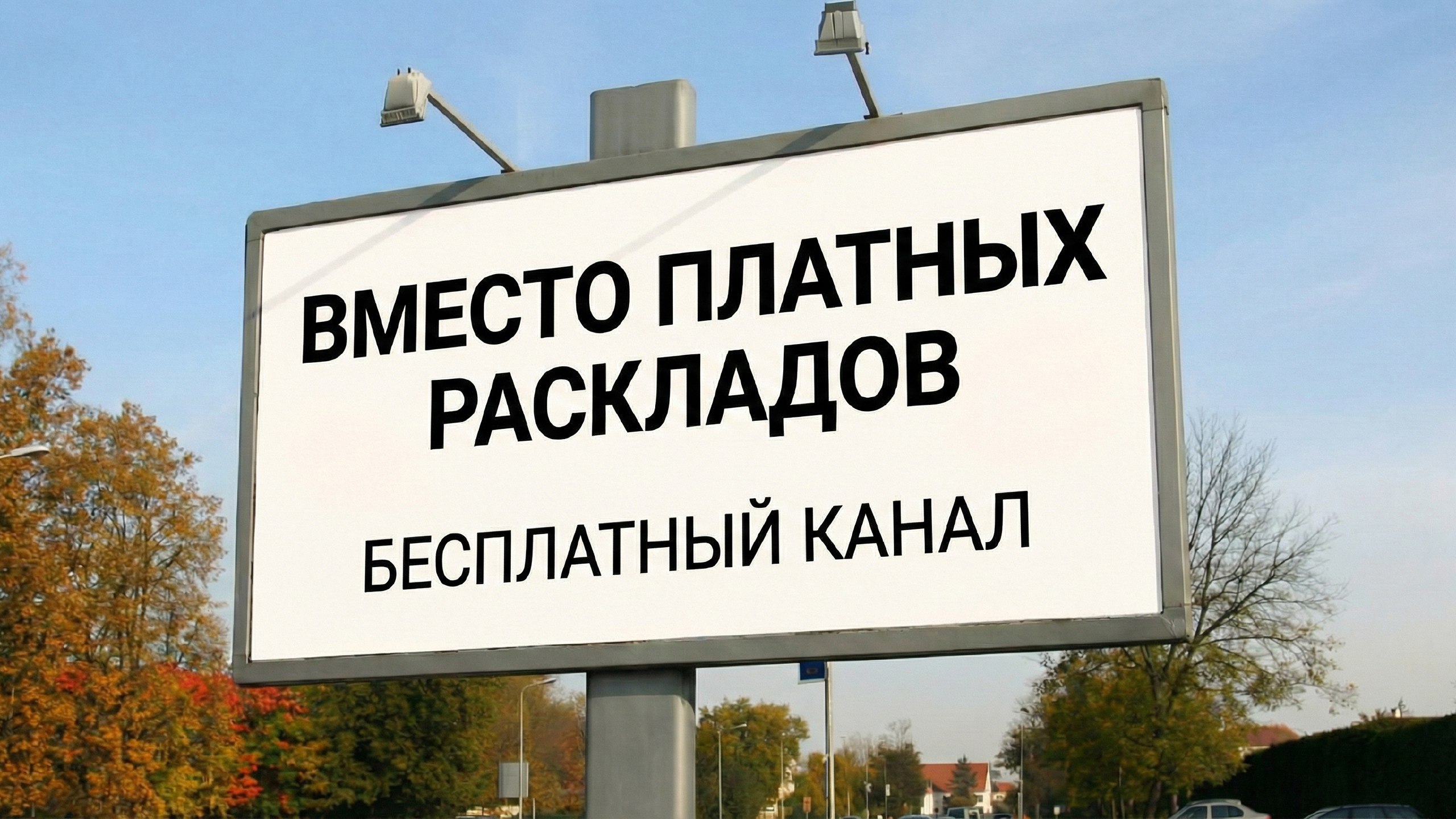 Карты, Джен и 2 кота