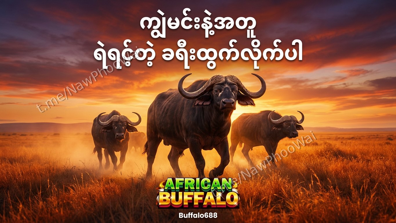 ⏰ ကျွဲဂိမ်း - နော်ဖူးဝေ 24 နာရီဝန်ဆောင်မှု