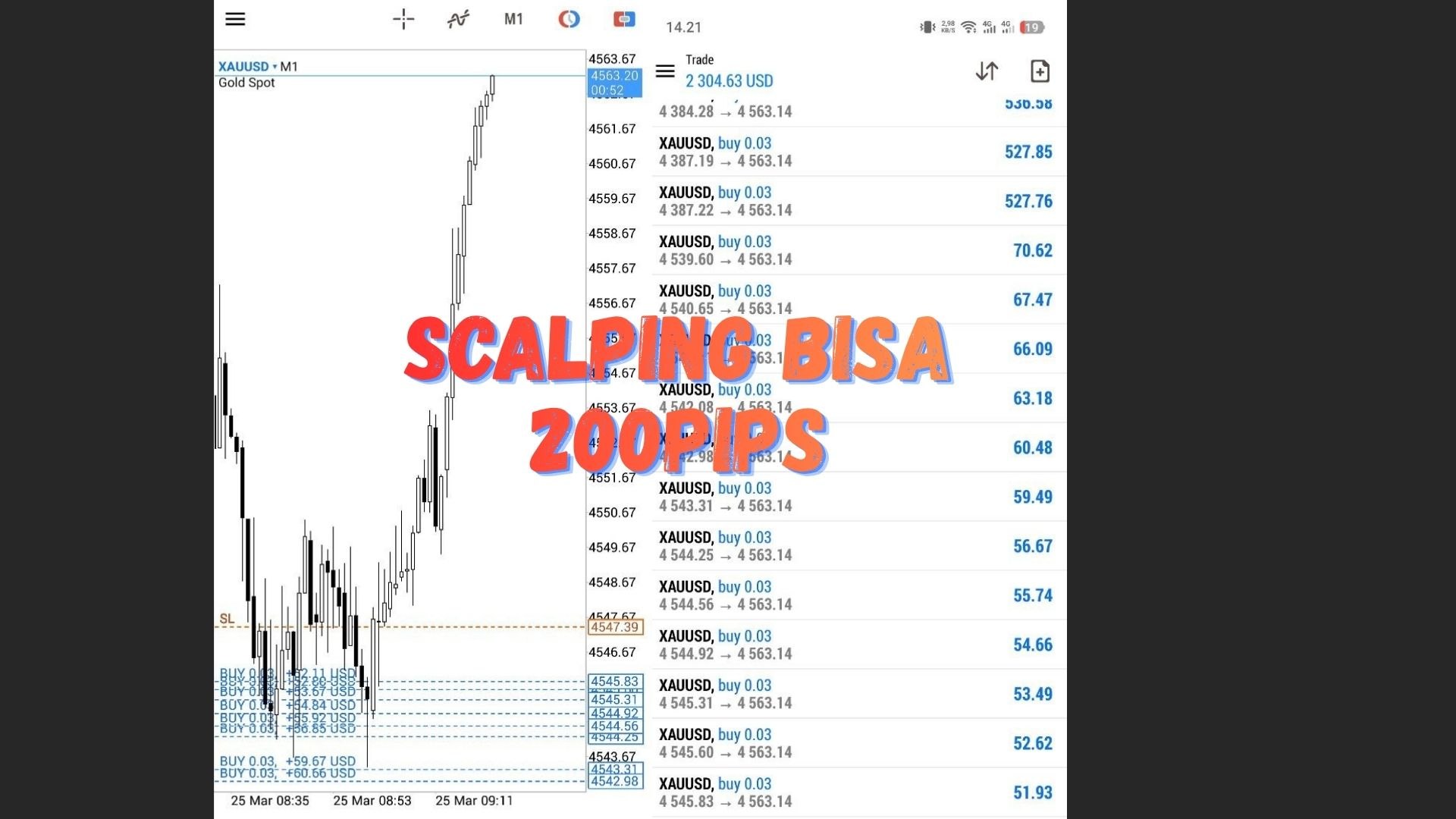 ALANG Super Scalper🇮🇩