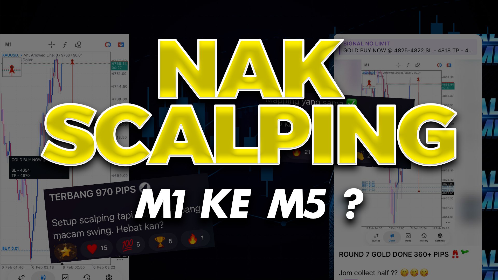 MIMIE SCALPING DERHAKA